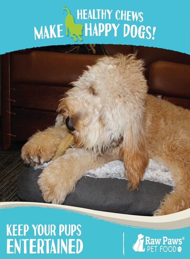 Raw Paws 5-inch Compressed Rawhide Rolls for Dogs, 20-ct - Packed in The USA - Pressed Rawhides for Dogs - Free-Range Raw Dog Hide Chews - Natural Dog Chew Sticks for Puppies & Small Breeds - Image 4